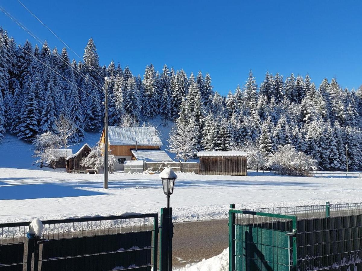 Ferienwohnungen Blockhaus - Zwergenhaeusl Grünau im Almtal Exteriör bild