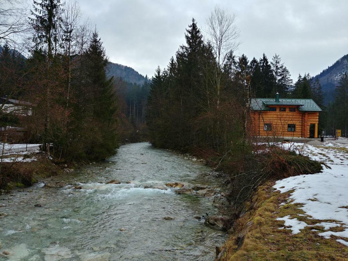 Ferienwohnungen Blockhaus - Zwergenhaeusl Grünau im Almtal Exteriör bild